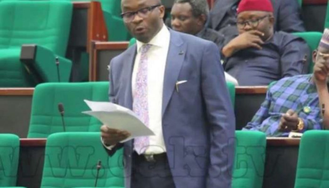 Nigerian legislature poorest in the world – Reps spokesperson