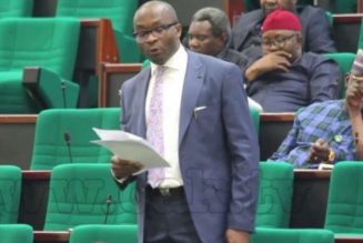Nigerian legislature poorest in the world – Reps spokesperson
