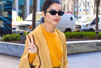 Only Zoë Kravitz Could Convince Me to Try This Footwear Trend