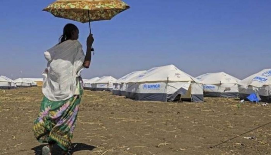 Red Cross: Ethiopia’s embattled Tigray region ‘largely inaccessible’