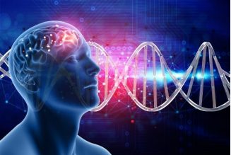 The Miracle Of The Brain: A Motivational Article For Africans