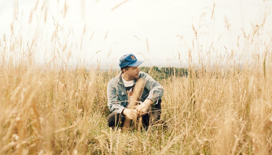 Wild Pink Is Bigger Than Christmas