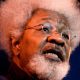 Wole Soyinka to Nigerians: Don’t accept child hostage taking as a way of life