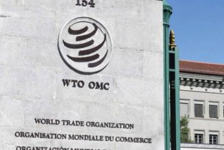 WTO fixes date to announce next director-general