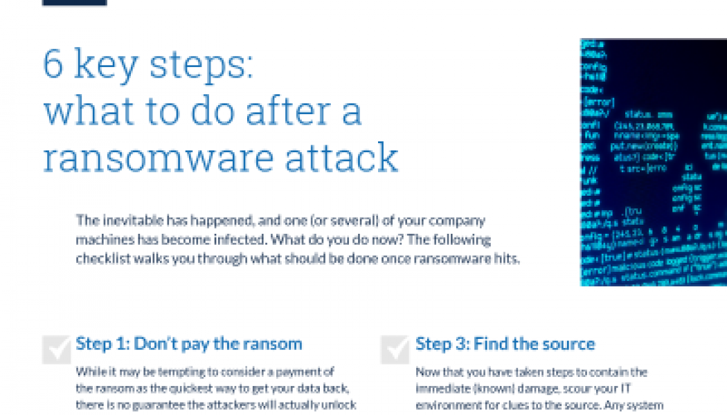 5 Things to Do After a Ransomware Attack