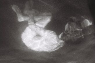 Alice Phoebe Lou Releases New Album Glow: Stream