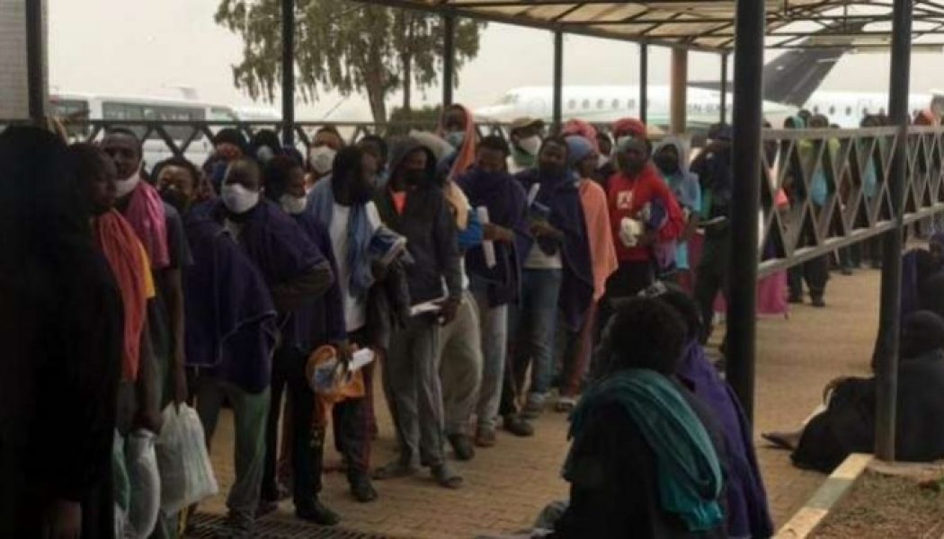 Another batch of 255 Nigerians stranded in Saudi Arabia arrive Abuja