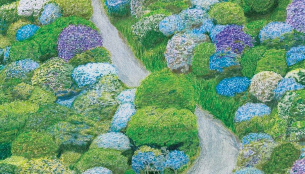 Fiddlehead Announce New Album Between The Richness, Share “Million Times”