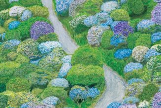 Fiddlehead Announce New Album Between The Richness, Share “Million Times”