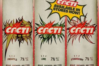 It’s Lit: Travis Scott Launches Agave Spiked Seltzer CACTI