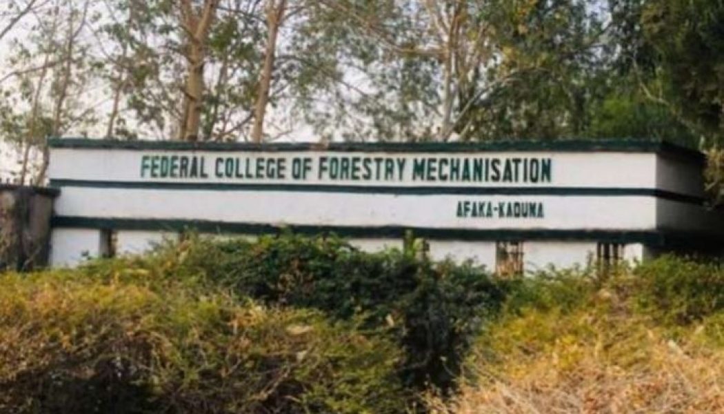 Kaduna abduction: Group urges government not to negotiate with bandits