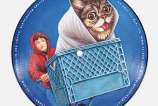 Lil BUB: The Earth Years Book and Music Project to Feature Jack Black, El-P, Thurston Moore