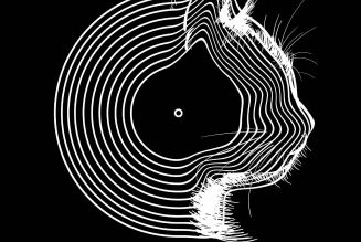 Meow Mix Theme Gets Metal, Latin Dance, Country Remixes on New Vinyl Release