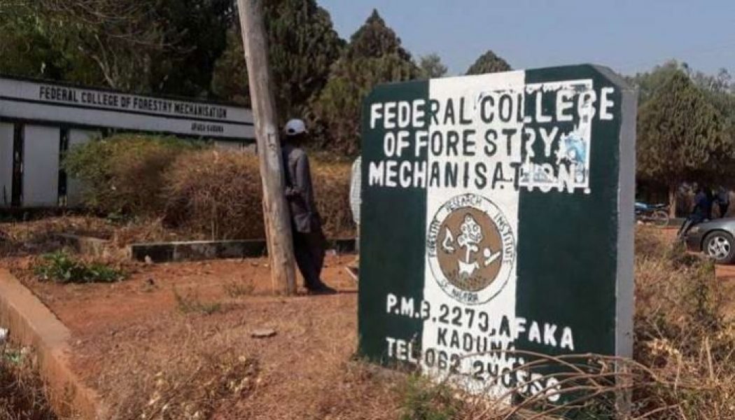 Official: 39 students missing from forestry mechanization college