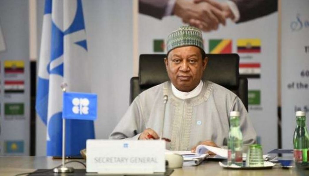 OPEC: Gas is vital to Nigeria’s future