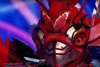 Phoenix Is Grounded on ‘The Masked Singer’: Watch