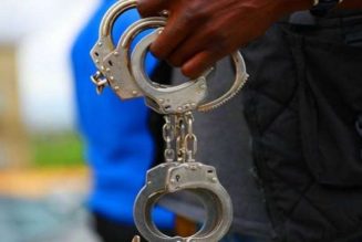 Police arrest two ‘armed robbers’ in Lekki