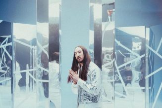 Steve Aoki Announces Debut NFT Release