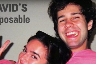 YouTuber David Dobrik parts ways with disposable camera app amidst controversy