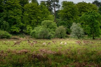 10 best hikes in New Forest National Park