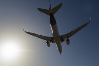 Airplane takes off a metric ton heavier than expected after computer error weighs adults as children