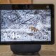 Amazon’s Echo Show 10 now has Zoom