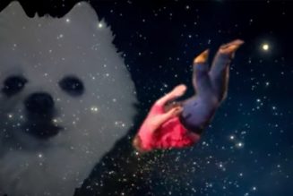 Bag Raiders Sold Their Viral “Shooting Stars” Meme as a Hilarious NFT