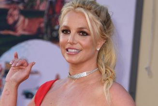Britney Spears to Address Court at Next Conservatorship Hearing