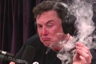 Elon Musk is Hosting SNL. No, Really.