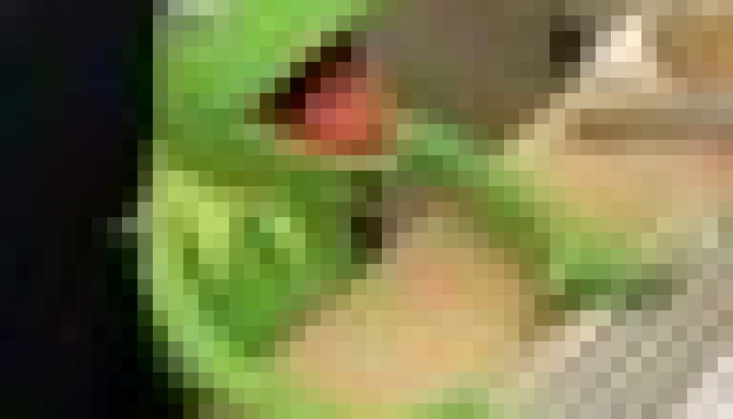 Fyre Fest’s Billy McFarland No Longer in Solitary Confinement