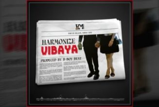 Harmonize – Vibaya