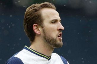 Harry Kane to decide on Tottenham future