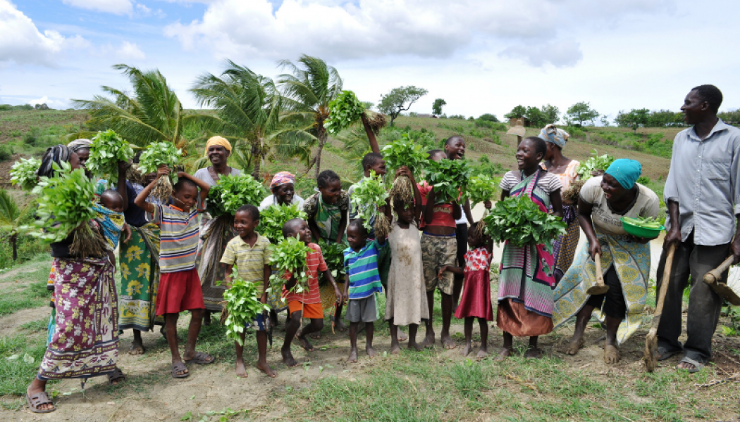 How Mobile Technology could Provide Food Security for Rural African Communities