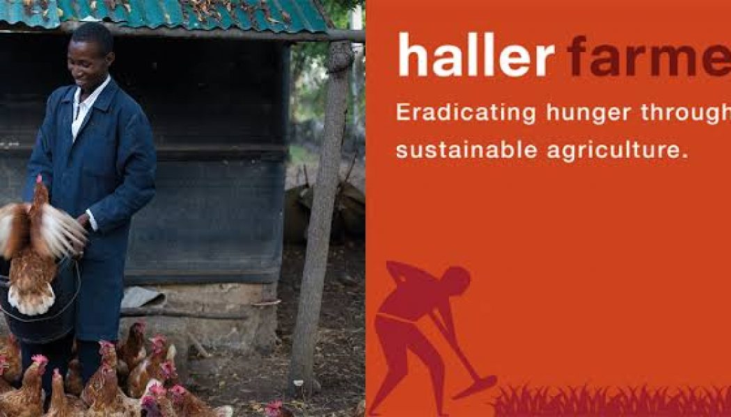 How the Haller Foundation is Helping Smallholder Farmers Across Africa