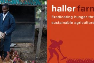 How the Haller Foundation is Helping Smallholder Farmers Across Africa