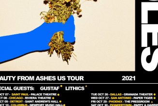IDLES Announce “Beauty from Ashes” US Tour for Fall 2021