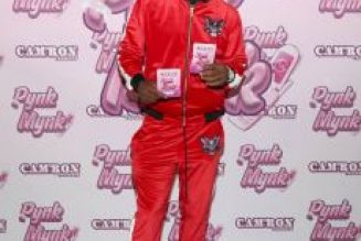 Killa Back: Cam’Ron To Release ‘Camdemic’ LP This Summer