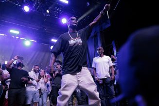 Long Live The Dog: DMX’s Best Guest Verses