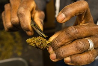 Marijuana Is Finally Legal In New York, Now What?