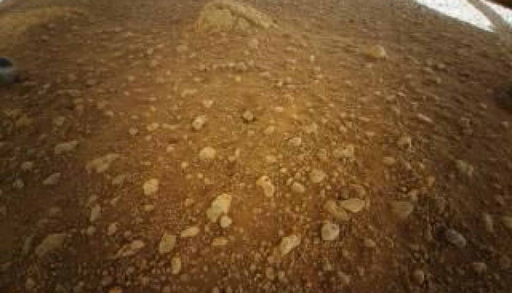 NASA’s Mars copter survives brisk night alone in key pre-flight test