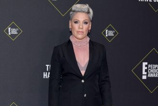 P!nk to Join Rag’n’Bone Man For 2021 BRIT Awards Performance