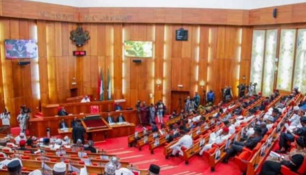 Senate passes amended AMCON bill, empowers agency to seize debtors’ assets