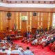 Senate passes amended AMCON bill, empowers agency to seize debtors’ assets