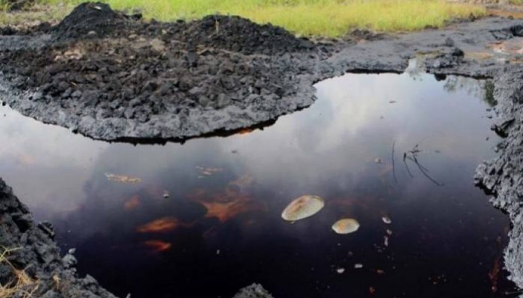 Shell’s pipeline spills 213 barrels of crude into Bayelsa community