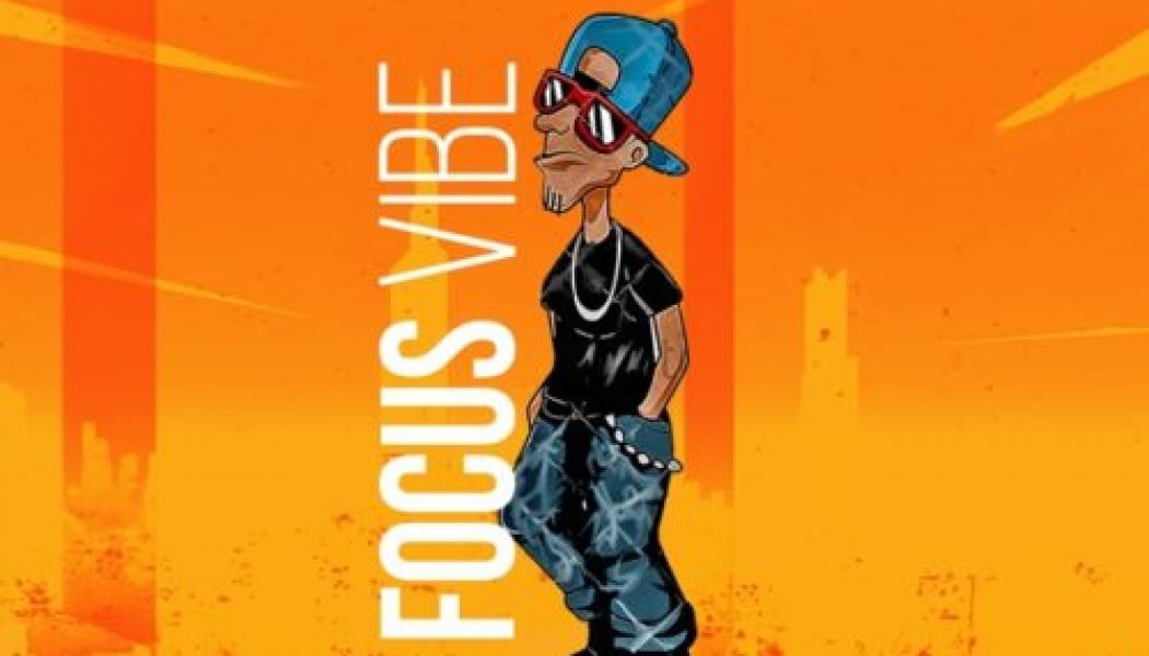 Slimcase – Focus Vibe