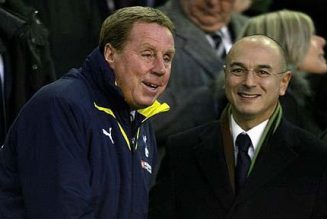 ‘Sorted already’ – Harry Redknapp makes new Spurs manager claim, tips 48y/o for job