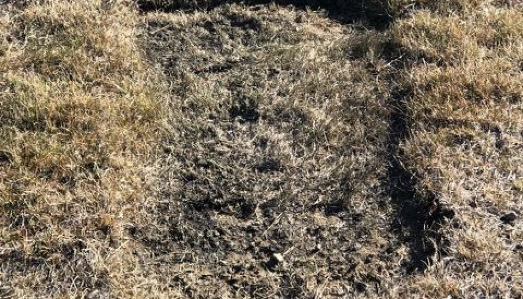 SpaceX rocket debris lands on man’s farm in Washington