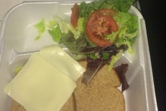 That Fyre Fest tweet with the sad sandwich will be auctioned as an NFT for medical expenses