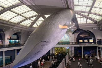 The first problem was vaccine supply. Now, it’s demand. 