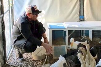 Tool’s Maynard James Keenan Spotlights His Ducks in Short Film An Easter Story: Watch